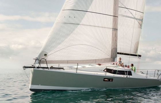Pogo 36 Eilean