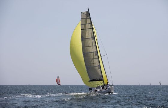 Pogo 36 Eilean