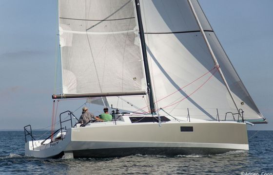 Pogo 36 Eilean
