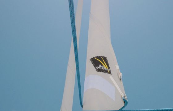 Pogo 44 Ithaka