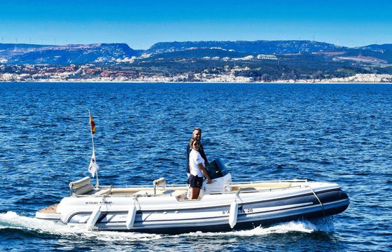 Novurania 650 Avatar