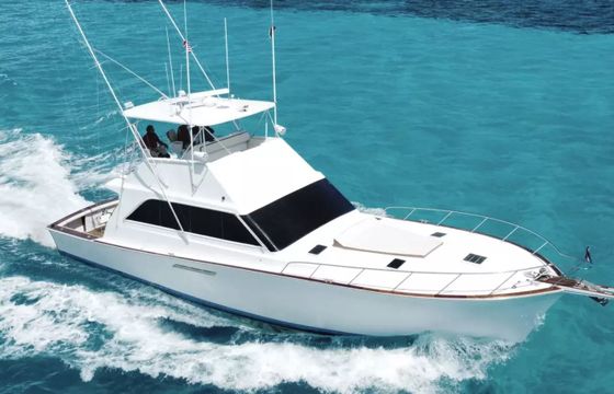 Ocean Yachts 55 Sexy Fish