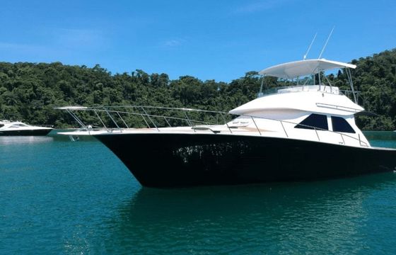 Ocean Yachts 55 Storm 6