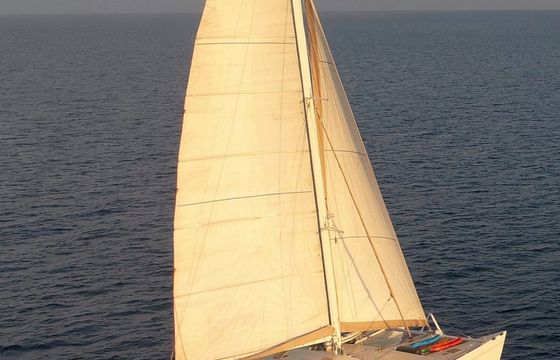 Ocean 850 Lone Star