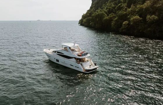 Princess V78 W.J.Lip