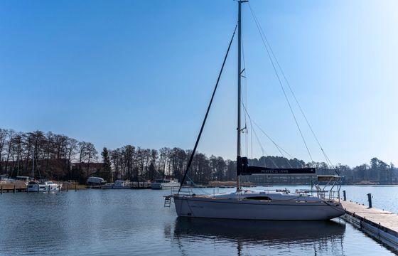 Odysseya S36 Odysseya 17