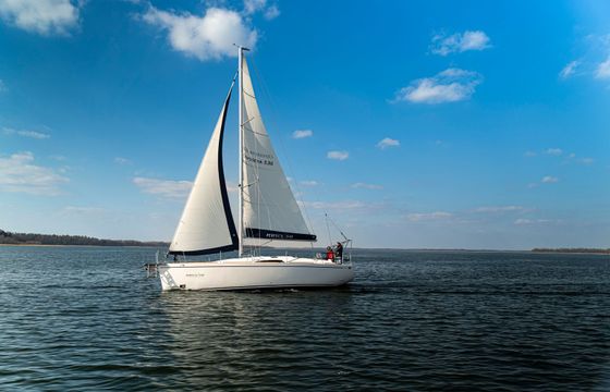 Odysseya S36 Odysseya 17