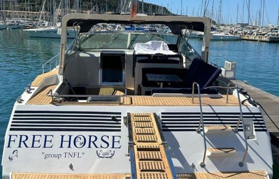 Piantoni 46 Free Horse