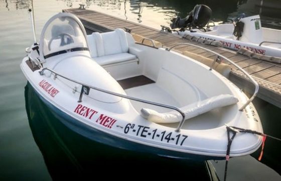 Quicksilver 425 17