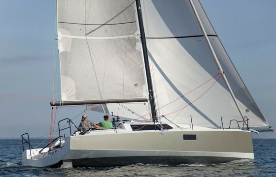 Pogo 36 Veridis Quo
