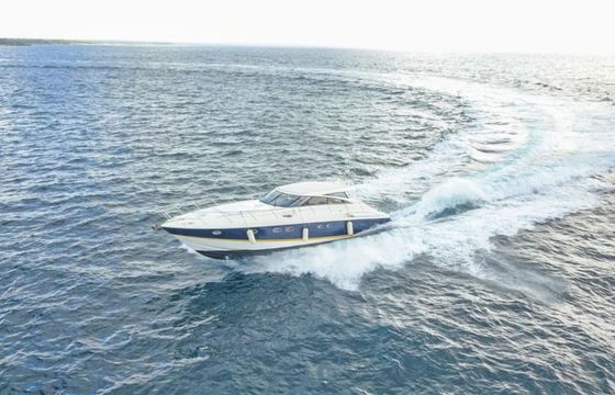 Princess V58 Baracutey L