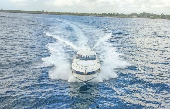 Princess V58 Baracutey L