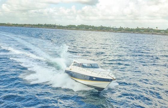 Princess V58 Baracutey L