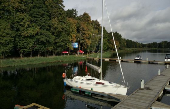 Phila 880 Budzik