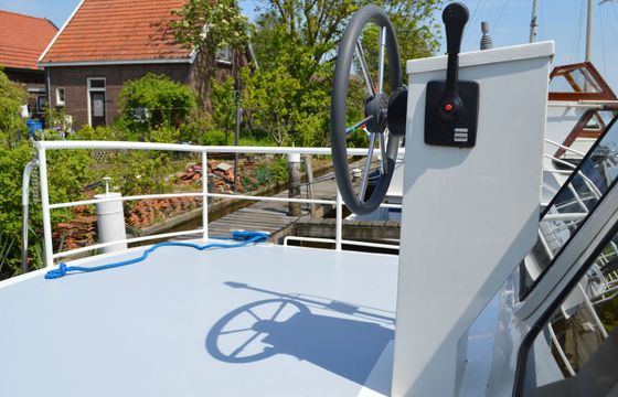 Palan C950 Dolfijn