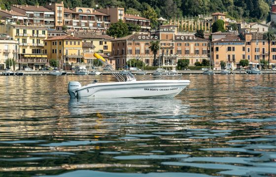 Ranieri 17 Shark Due