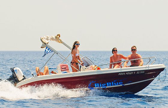 Ranieri 19 Shark