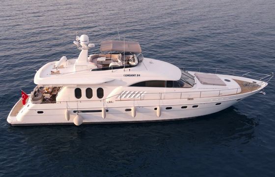 Princess 22 Consent 24