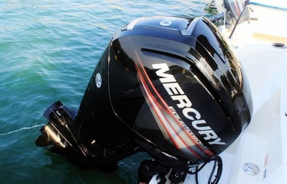 Quicksilver 555 Open 19