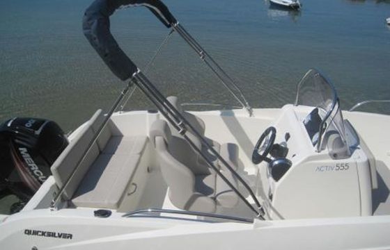 Quicksilver 555 Quicksilver