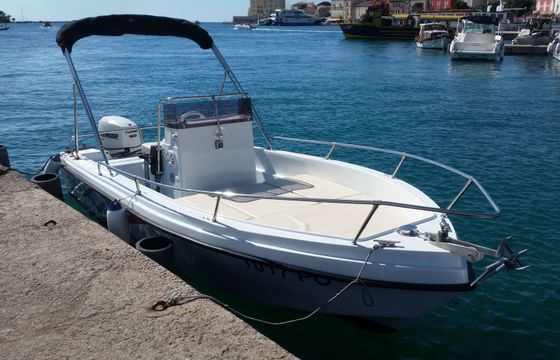 Polyform Triakis 17.5 Triakis