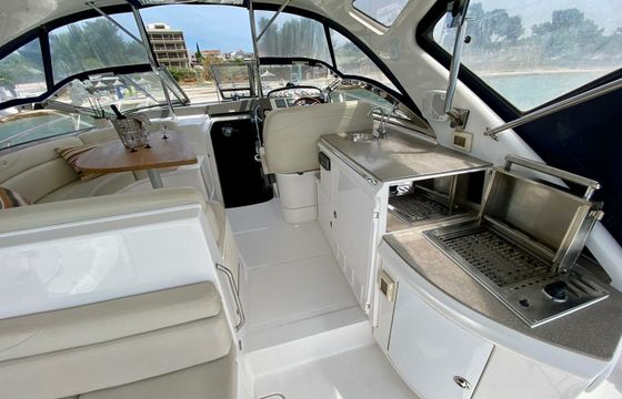 Regal 4460 Commodore Divlji Cvit