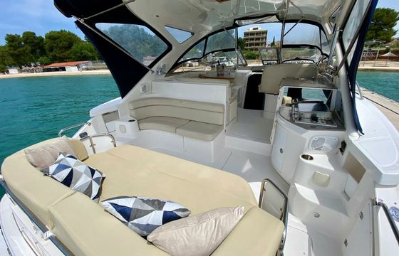 Regal 4460 Commodore Divlji Cvit