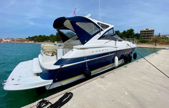 Regal 4460 Commodore Divlji Cvit