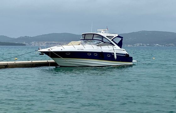 Regal 4460 Commodore Divlji Cvit