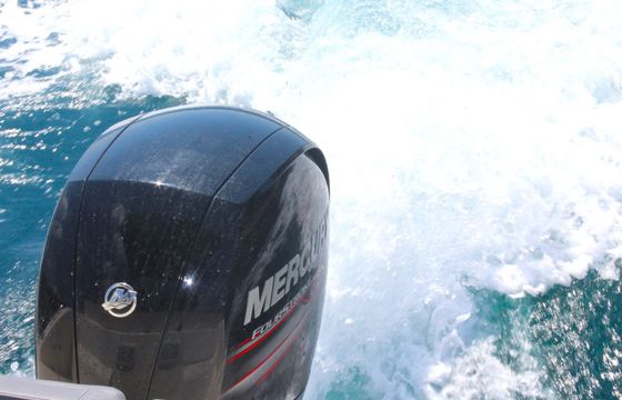 Quicksilver 605 Sundeck