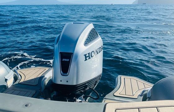 RIB 780 Perla Nera