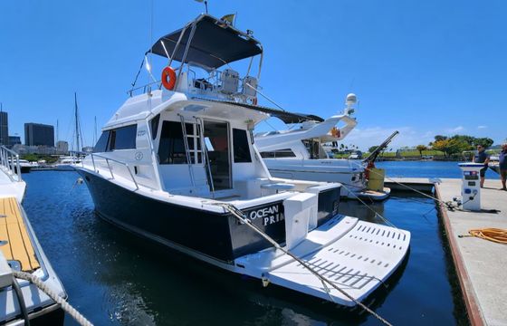 Riostar 50 Ocean Prime