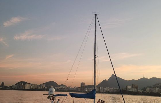 Peterson 33 Terra Firme Rio