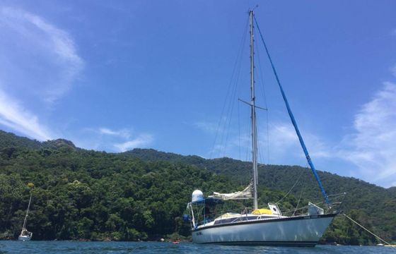 Peterson 33 Terra Firme Rio