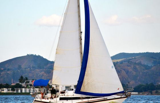 Peterson 33 Terra Firme Rio