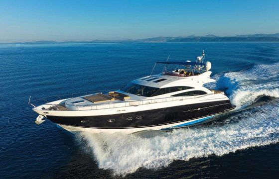 Princess 85 Agave