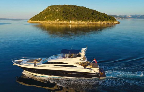 Princess 85 Agave
