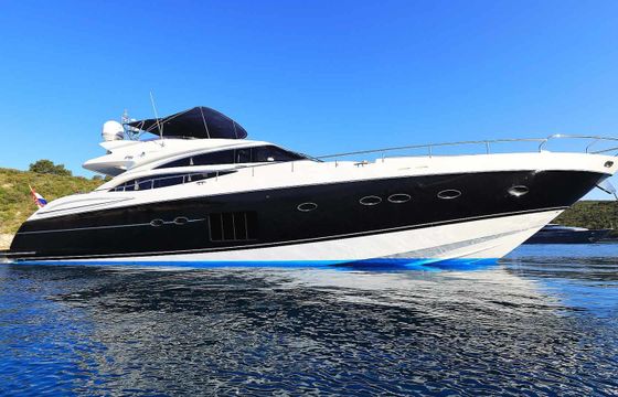 Princess 85 Agave