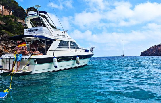 Princess 330 Flybridge The Phoenix
