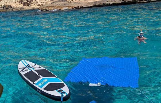 Princess 330 Flybridge The Phoenix