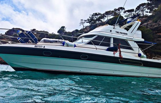 Princess 330 Flybridge The Phoenix