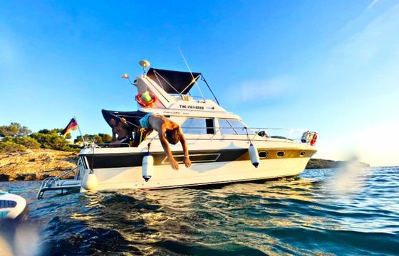 Princess 330 Flybridge The Phoenix