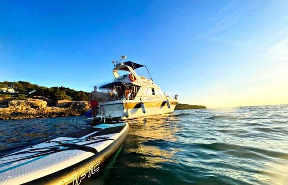 Princess 330 Flybridge The Phoenix