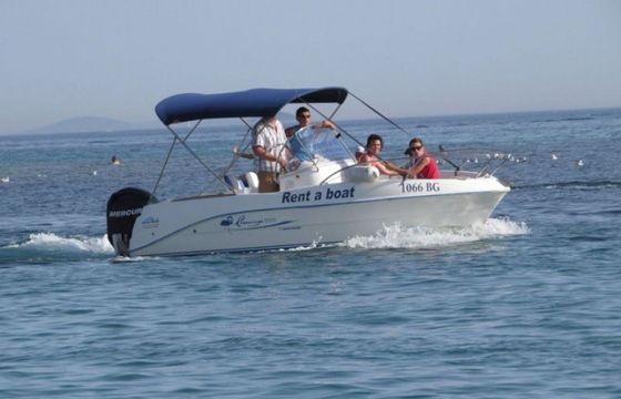 Quicksilver 525 Quicksilver Flamingo