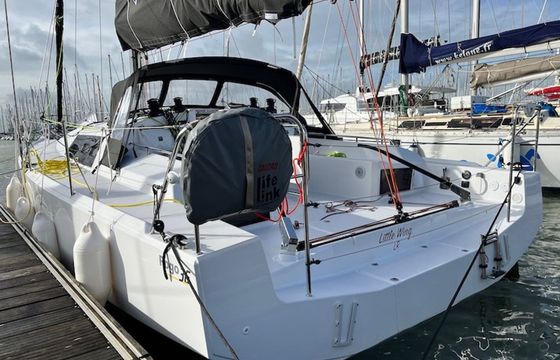 Pogo 36 Little Wing