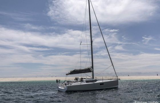 Pogo 36 Silver Wave