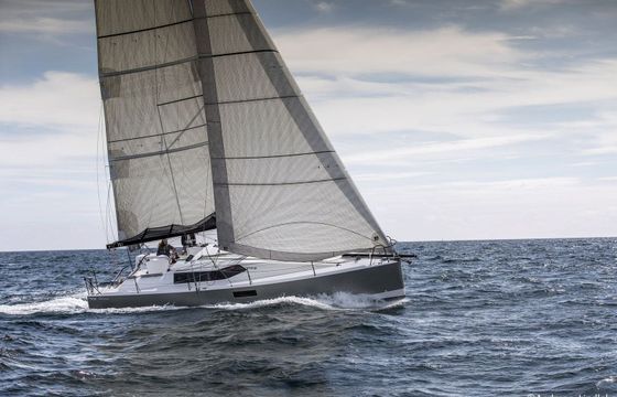 Pogo 36 Silver Wave