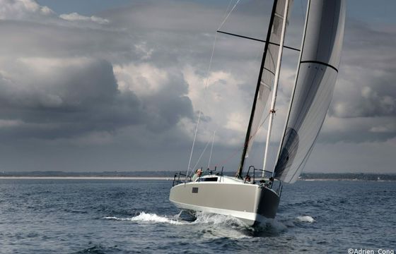 Pogo 36 Silver Wave