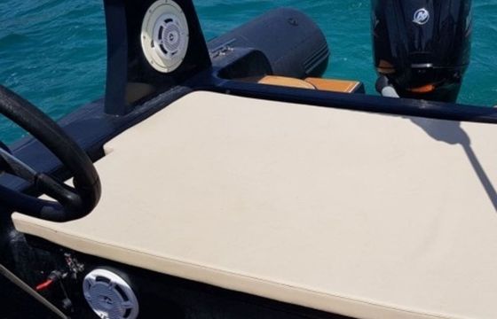 RIB 599 Lydia