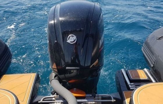 RIB 599 Lydia